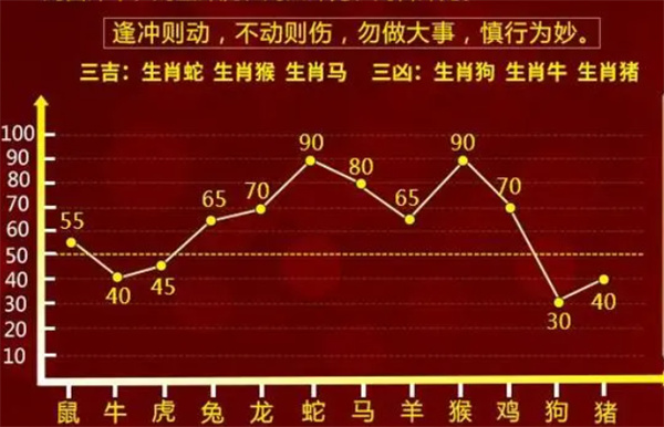 一肖一码免费，公开、词语释义与落实解释