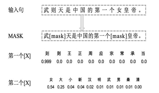 揭开神秘面纱，白小姐一肖一码准确预测与词语释义的深度解读