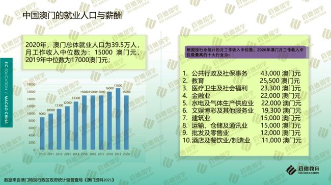 新澳门资料免费大全，深度解析与词语释义的落实