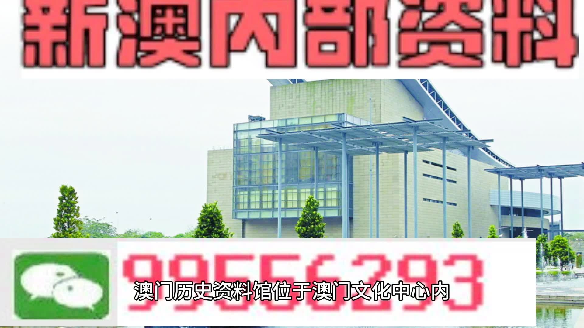 新澳2025年精准一肖一码|词语释义解释落实