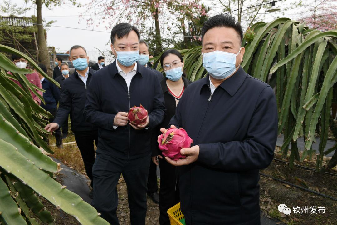 新澳内部资料精准大全|全面贯彻解释落实